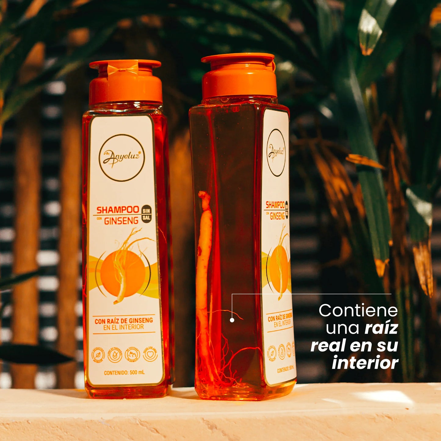 Shampoo con Ginseng - Anyeluz