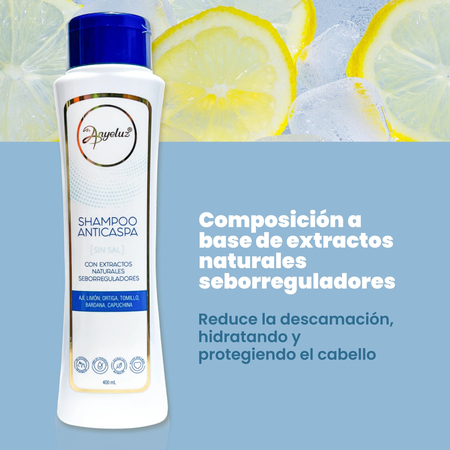 Shampoo Anticaspa - Anyeluz