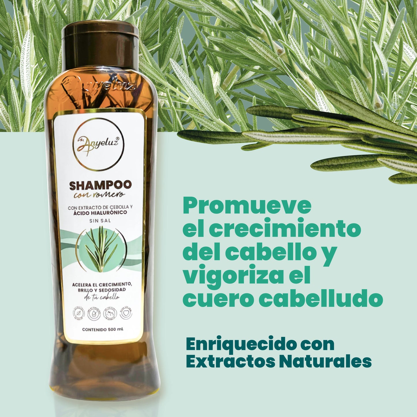 Shampoo de Romero -Anyeluz